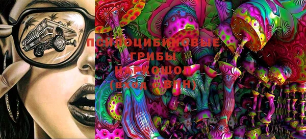 прущая мука Няндома